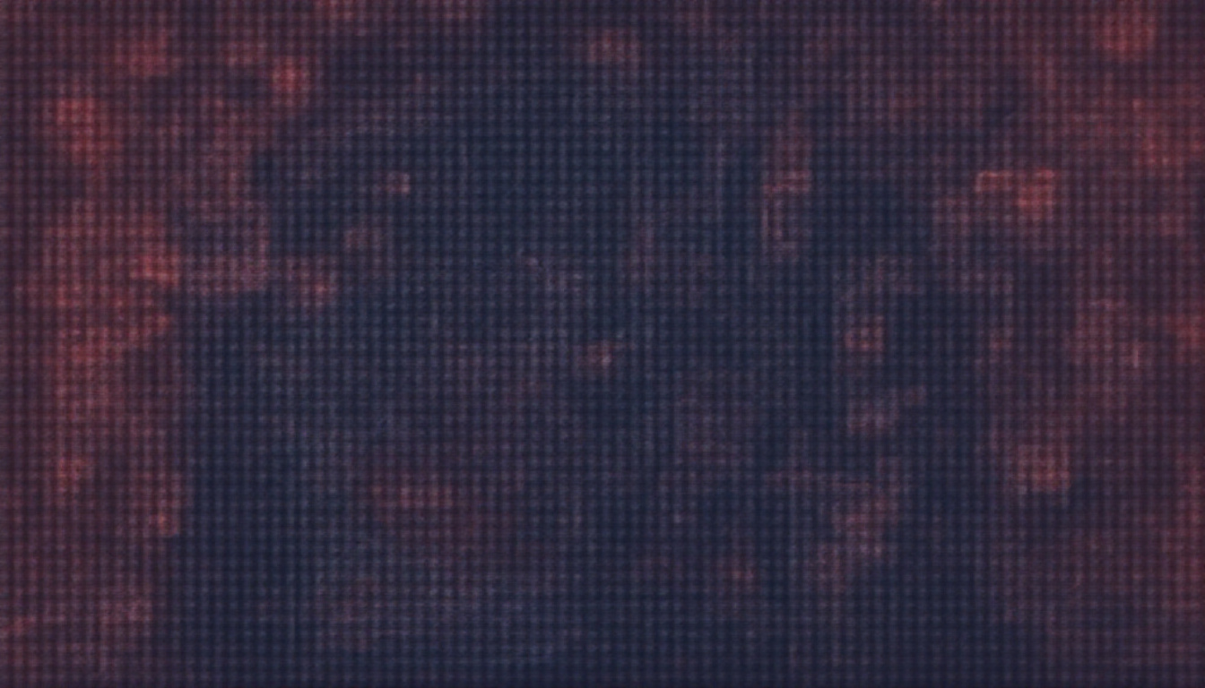 VAD — Video A Day
